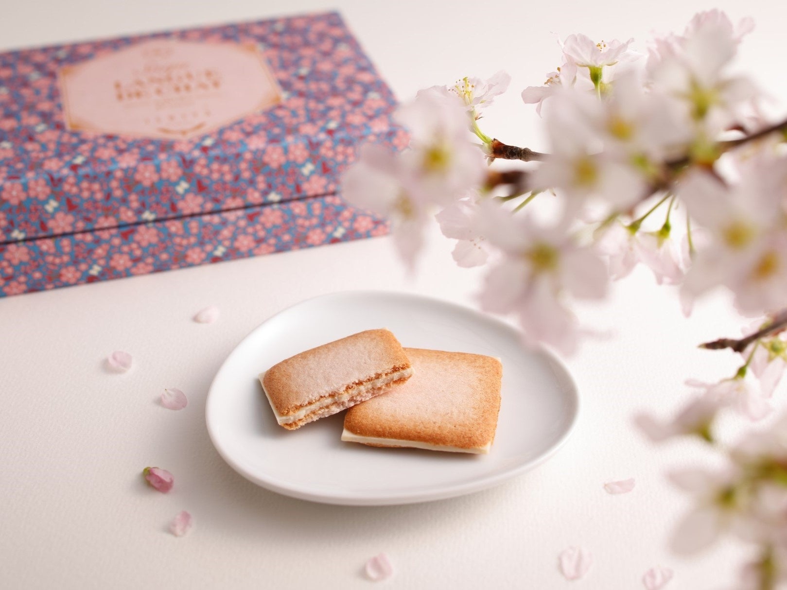 ART × 桜 × 美味 で、春を満喫！大丸心斎橋店で楽しむ、お花見特集