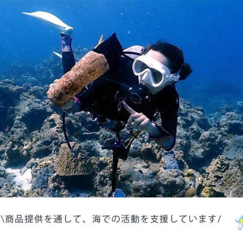 ３月５日はサンゴの日。サンゴに害のある成分をすべて不使用の日焼け止めfeel coralは、沖縄のスキューバダイ...