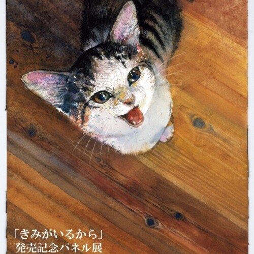 絵本作家くさかみなこ・彫刻家はしもとみおによる、愛猫との暮らしを