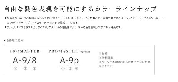 プロの表現力を解き放つサロン向けヘアカラーシリーズ「PROMASTER」から2024年4月、待望の新色