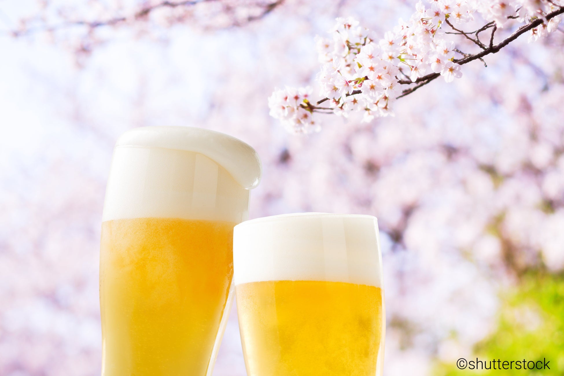 ～お花見！ビール！「ohanami.beer」空いています～「.beer」などアルコール飲料系ドメイン最大20%オフプロモ...