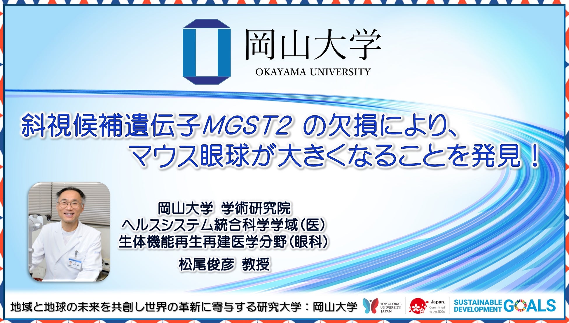 【岡山大学】斜視候補遺伝子MGST2の欠損により、マウス眼球が大きくなることを発見！
