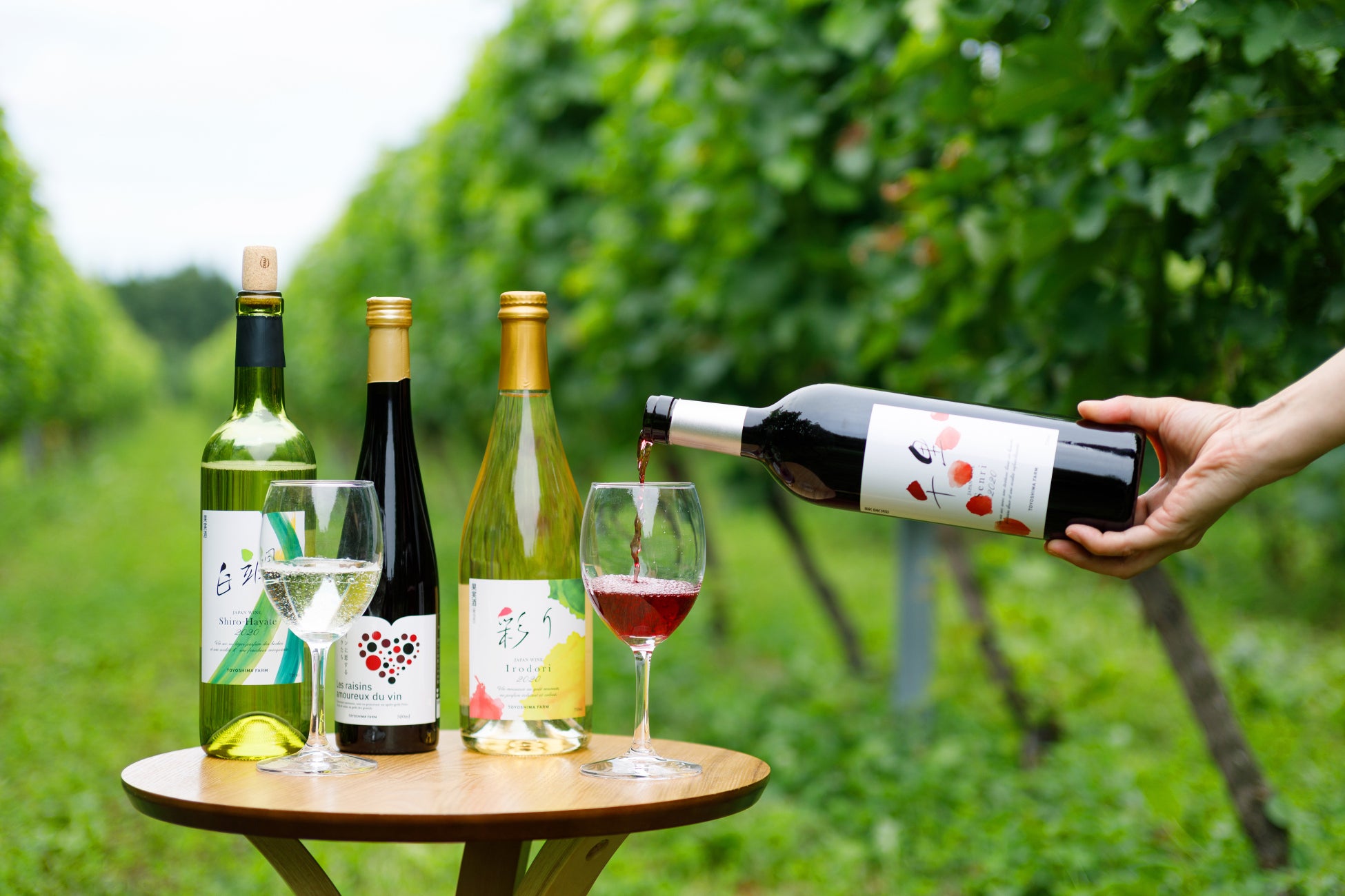 秋田県でワイン用ブドウの栽培に取り組むTOYOSHIMA FARM、ワイナリー開業に向けてクラウドファンディングを開...