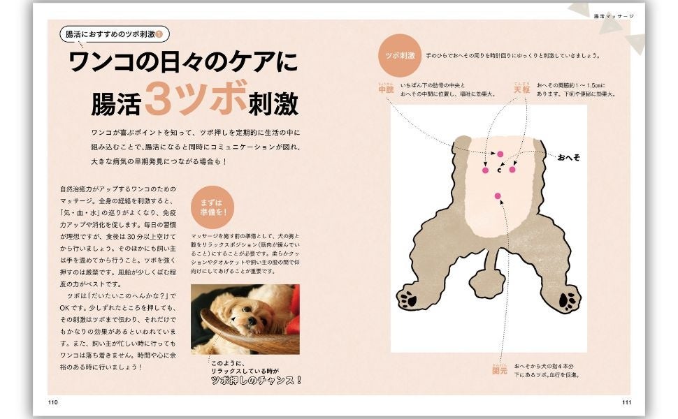 「犬の腸活」が新常識！ 健康＆長寿を叶える『獣医師が考案したワンコの長生き腸活ごはん』発売！