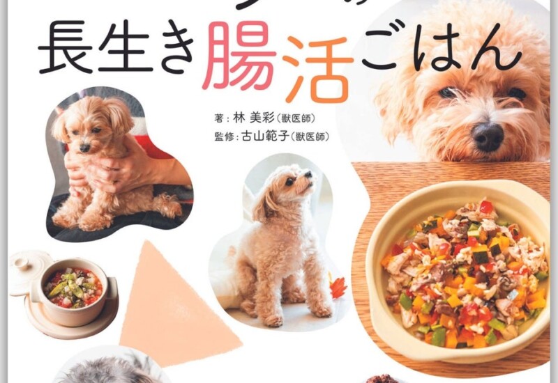 「犬の腸活」が新常識！ 健康＆長寿を叶える『獣医師が考案したワンコの長生き腸活ごはん』発売！