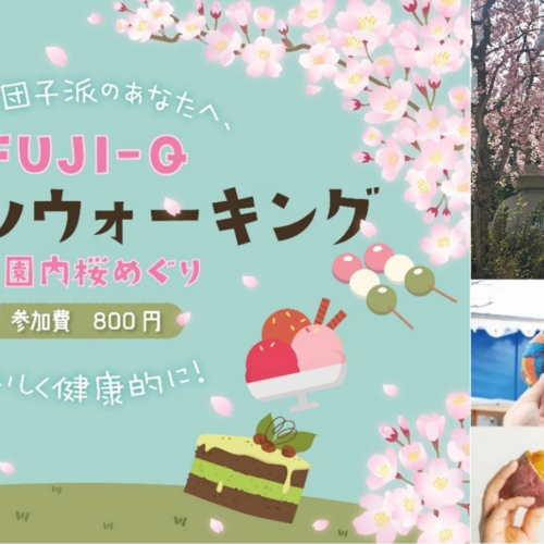 園内に咲く満開の桜をグルメと巡る「FUJI-Q春のスイーツウォーキング」開催～4月13日（土）、１４日（日）～