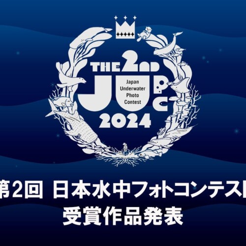 第2回「日本水中フォトコンテスト」受賞作品が決定！～全34点の入賞作品を発表