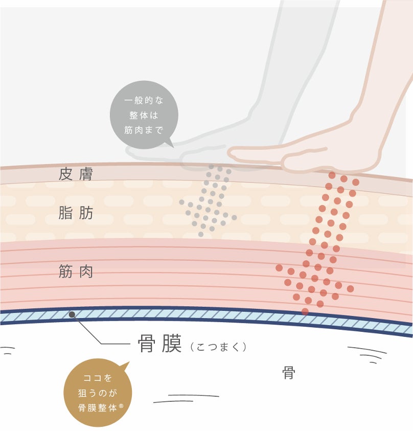 【話題の『骨膜整体®』院に新ブランド登場！】痛みの軽減に特化した「整体LIGHT」を都内に3店舗開院