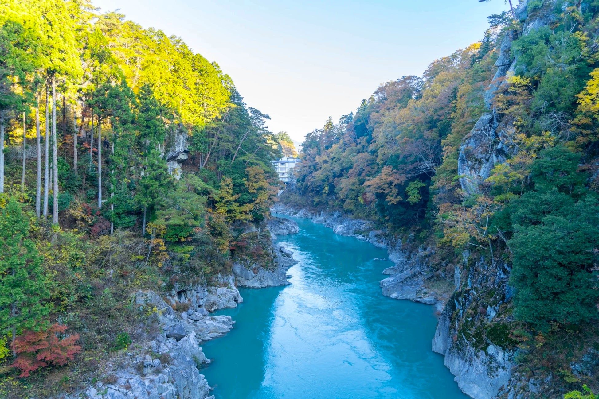 【Nishikigoi NFT】Local DAOの新しい候補地として長野県天龍峡と宮崎県椎葉村を発表。承認を問うコミュニテ...