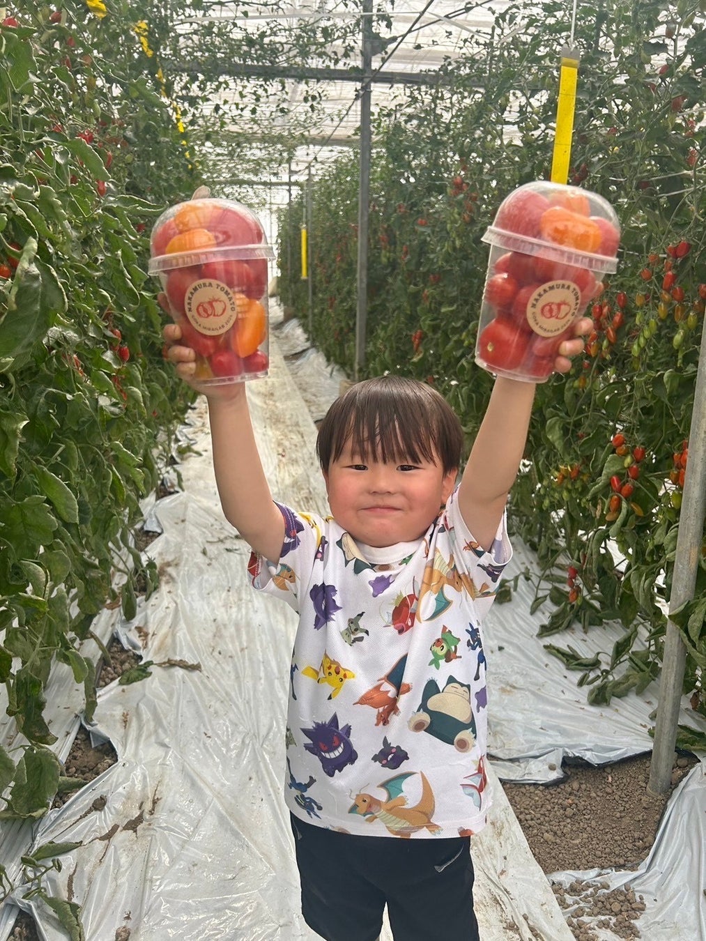 【道の駅ごか】完熟ミニトマト収穫体験！！