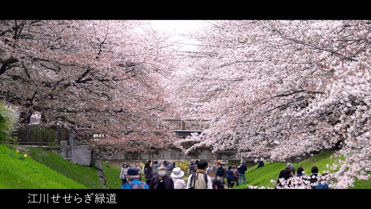 春夏秋冬見どころたくさん！　横浜市都筑区季節の魅力PR動画「めぐる季節に出会える都筑」を作成しました！