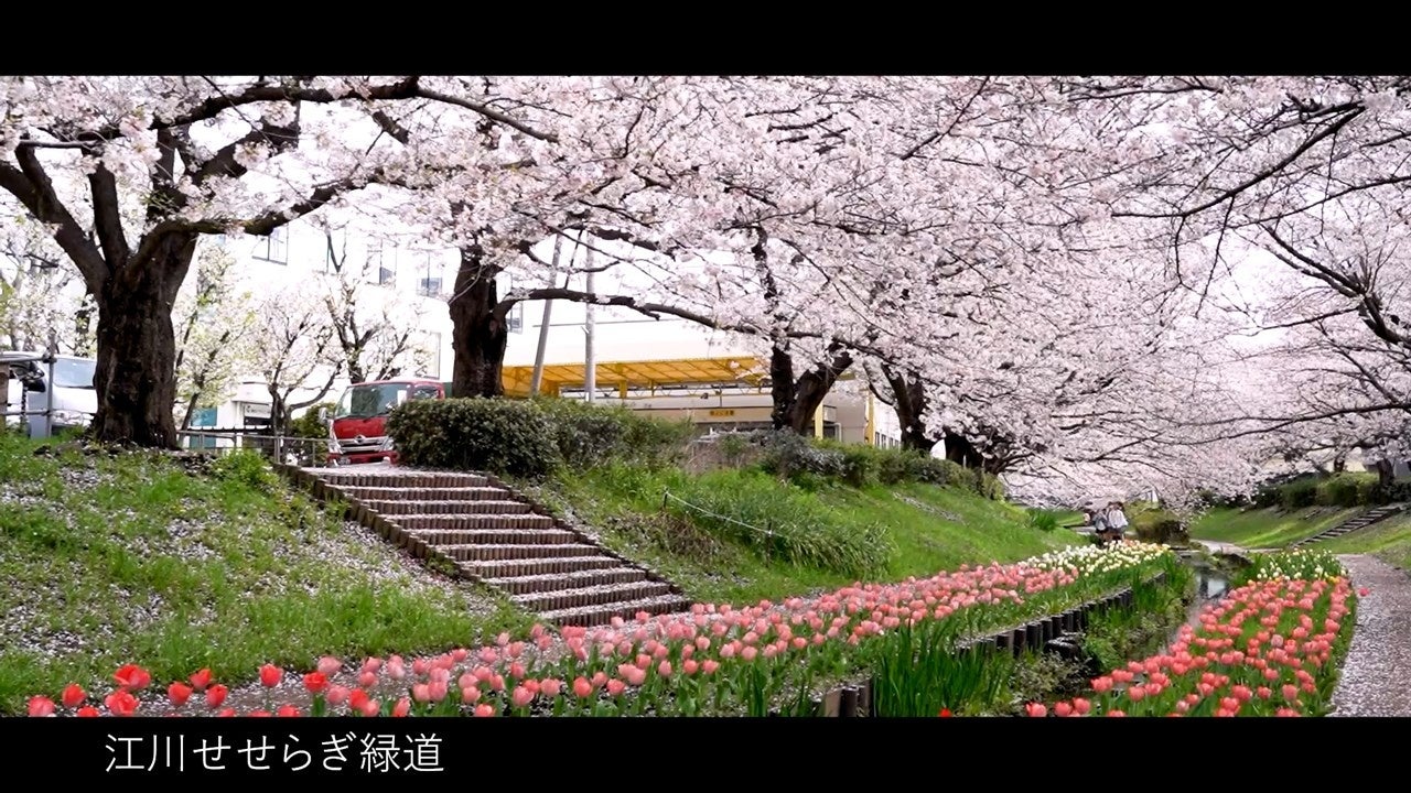 春夏秋冬見どころたくさん！　横浜市都筑区季節の魅力PR動画「めぐる季節に出会える都筑」を作成しました！
