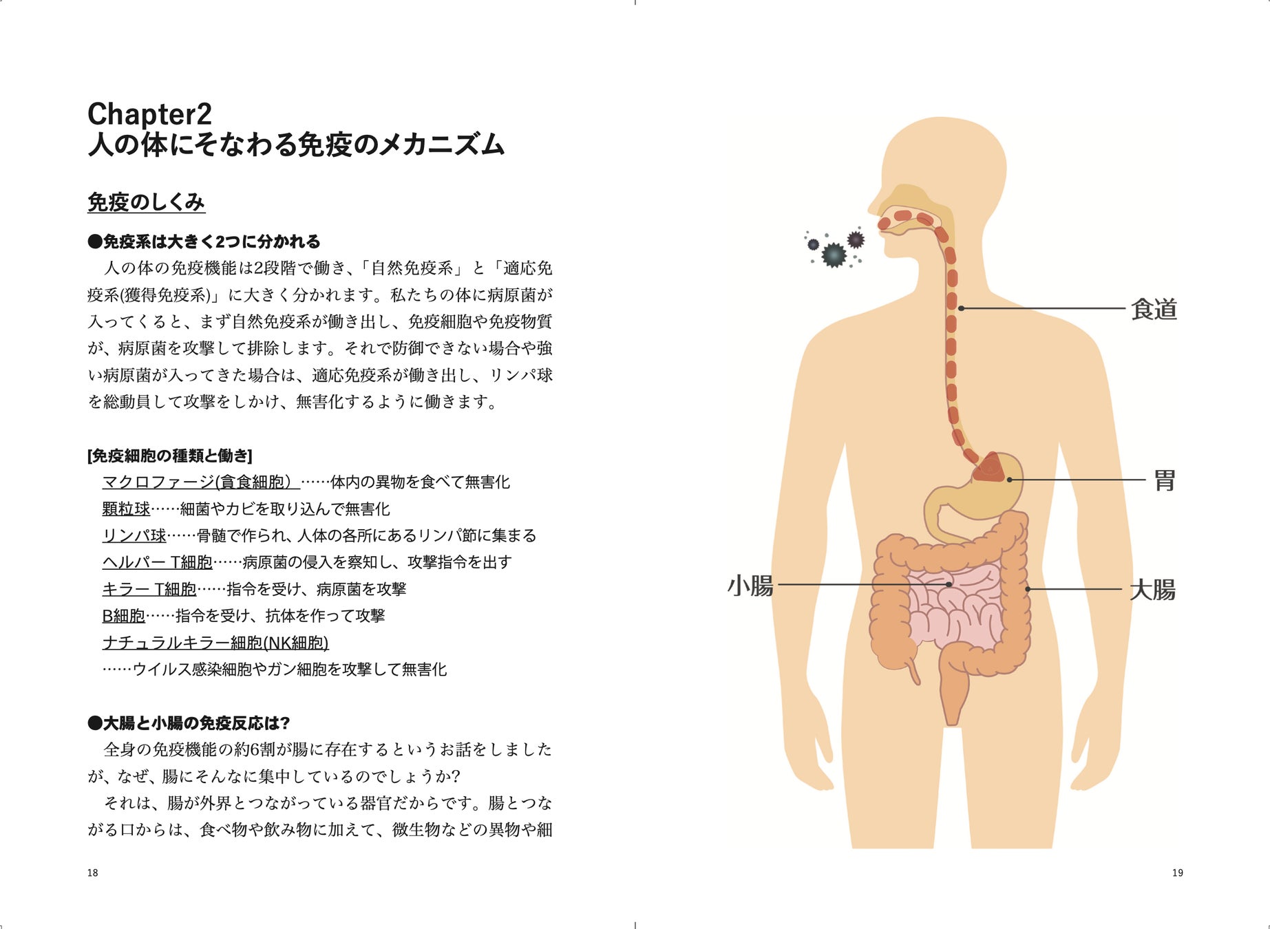 健康でいるためのカギは腸管にあった！「腸管バリア強化法大全」が5月10日シロクマ社より発売！