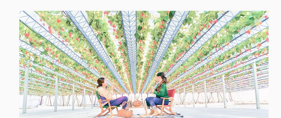神戸国際会館11階のTOOTH TOOTH GARDEN RESTAURANTでは屋上庭園で楽しむ「ガーデンテラスプラン」が2024年4月...