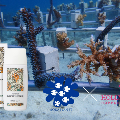 サンゴに害のある成分をすべて不使用の日焼け止め『feel coral サンプロテクト ミルク』は、サンゴ再生と海環...