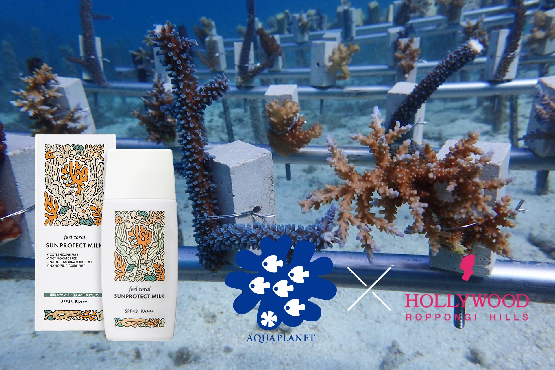 サンゴに害のある成分をすべて不使用の日焼け止め『feel coral サンプロテクト ミルク』は、サンゴ再生と海環...
