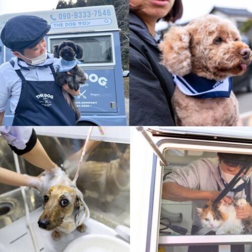 ピースワンコ・ジャパン×THE DOG™ Salon Trimming Wagon、能登半島地震被災者支援 出張トリミング第2弾を実施...