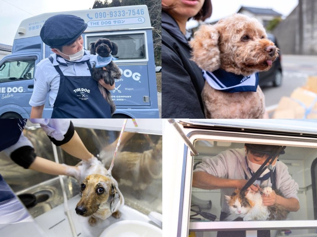 ピースワンコ・ジャパン×THE DOG™ Salon Trimming Wagon、能登半島地震被災者支援 出張トリミング第2弾を実施...