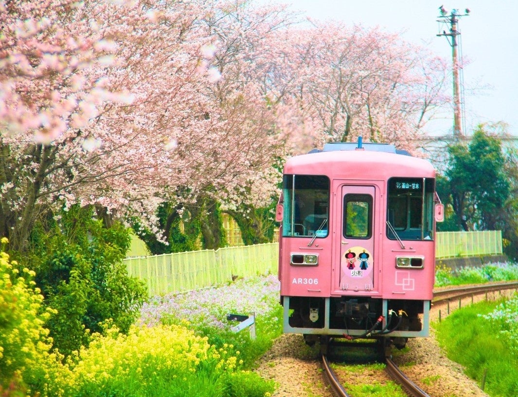 【福岡県小郡市】映え列車 "甘鉄" との三大特別企画 6月末まで