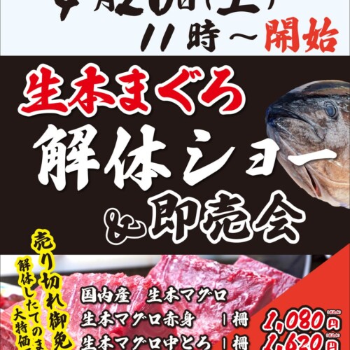 『サカナタベタイMEGAドン・キホーテ本八幡』の生本鮪解体ショーは、2024年4月20日（日）11時スタート!!