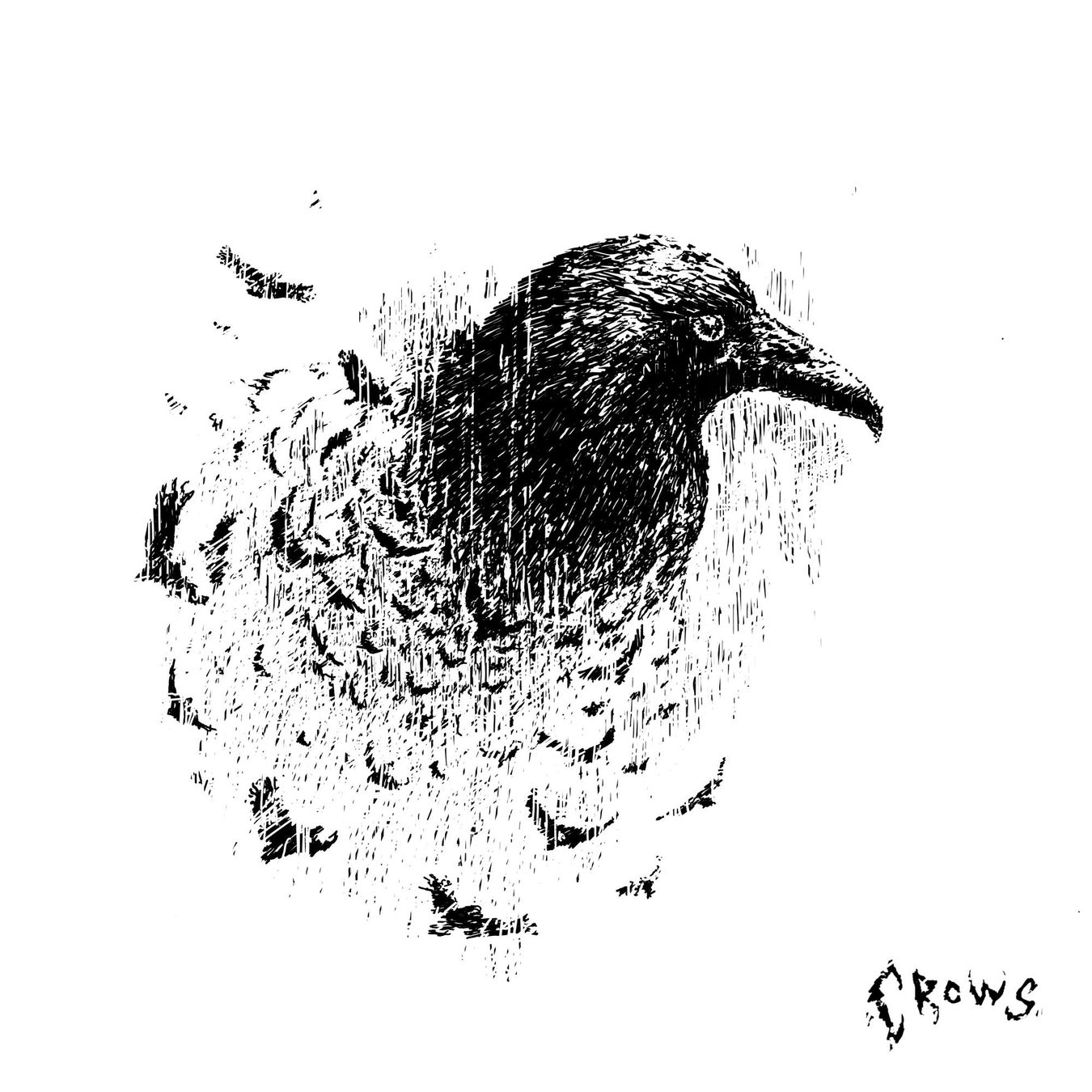 ハイパーポップ/エモ・サウンドで人気のrouri404が新EP『crows』を6月21日にリリースすることを発表