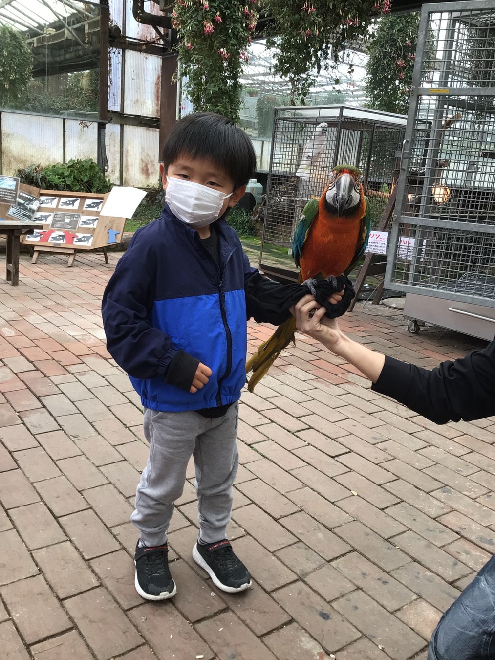 富士花鳥園：今年の連休は富士山麓で猛禽類などと触れ合ってみる　Fuji Kachoen: A week to interact with ow...