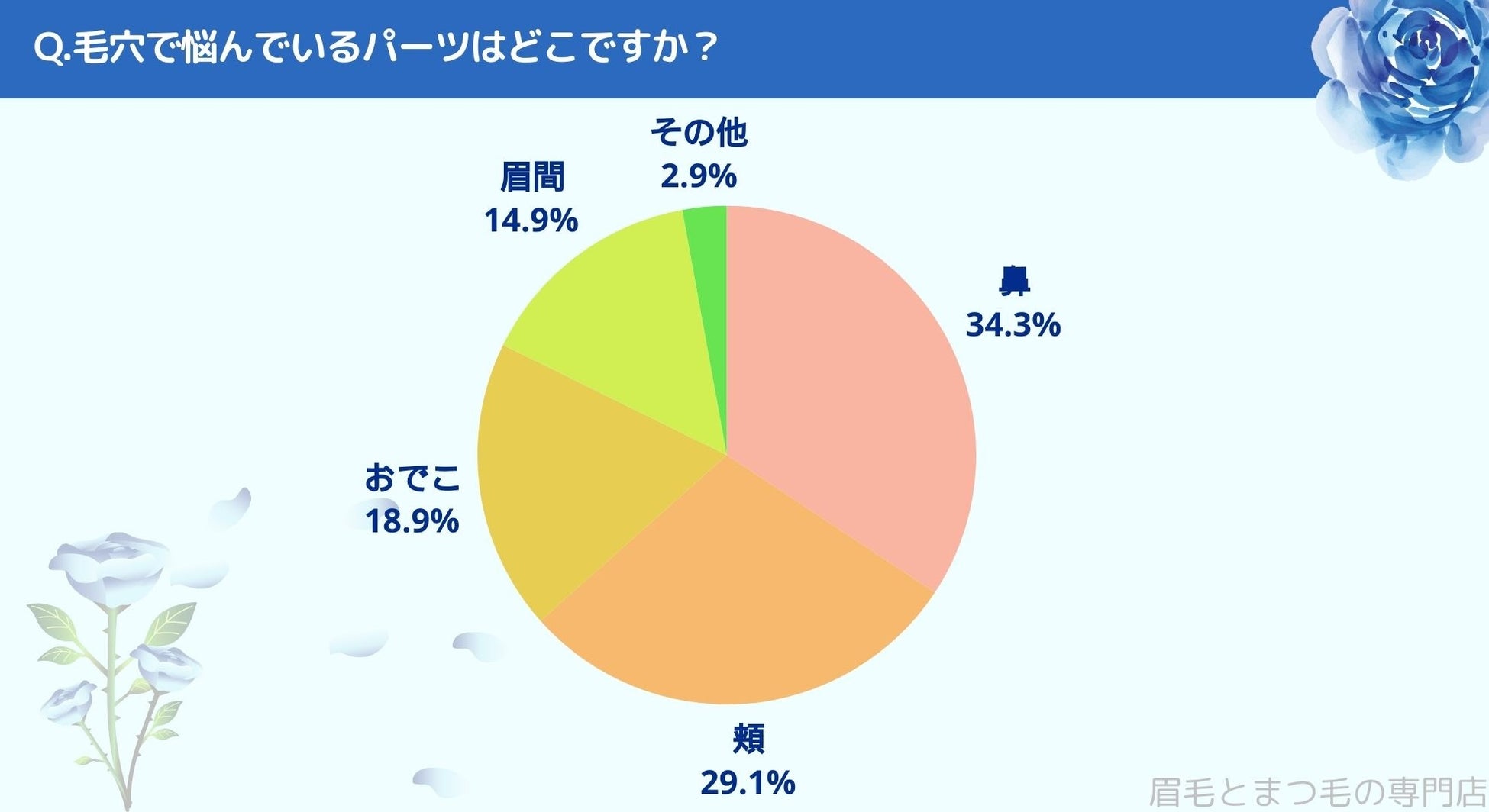 松山市で眉毛サロンを探している方必見！｜毛穴の悩みについて四国エリアの人にアンケート調査