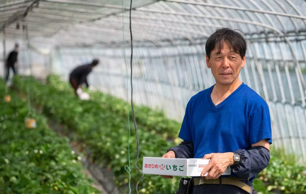 農地継承で引き継いだ2代目！天災に見舞われた群馬県の『いちご農家』再生をかけてクラウドファンディング初...