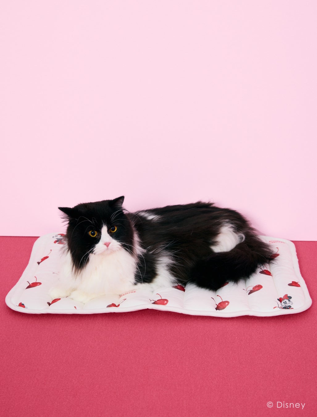 「gelato pique（ジェラート ピケ）」ミニーマウスをデザインの主役としたルームウェア、寝具、CAT&DOGの新作...