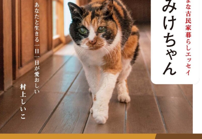 【発売後即重版決定！】人間なら116歳の奇跡の猫が感動を呼ぶ『25歳のみけちゃん』