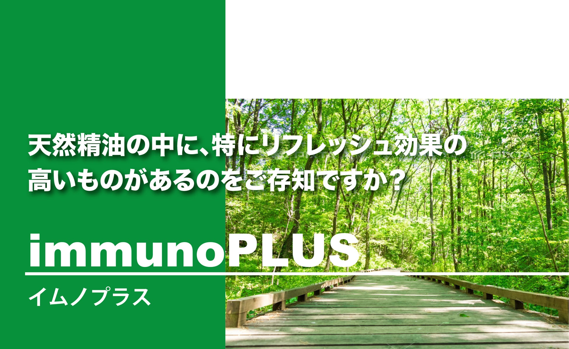 第1回日本森林医学会学術総会にて、プロモツール社長の緒方が登壇しました