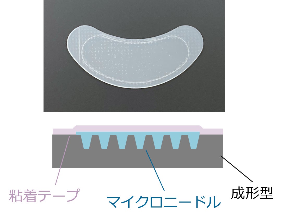 【サステナビリティの取り組み事例】化粧品包装資材のプラスチック使用量を50%削減