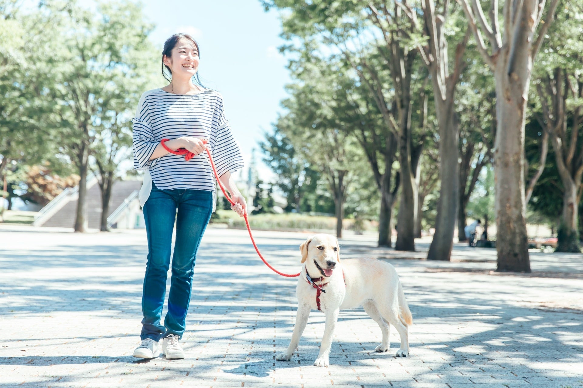 (愛知県初)豊橋市と住友生命のコラボでVitalityとよはしウォーク　運動目標達成で特典　参加無料 6月3日申込開始