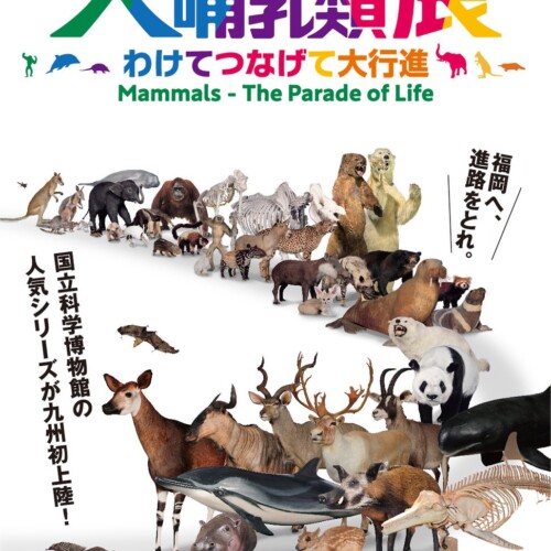 国立科学博物館で2010年から続く人気シリーズが九州初上陸！「大哺乳類展」を福岡市博物館で7月より開催！