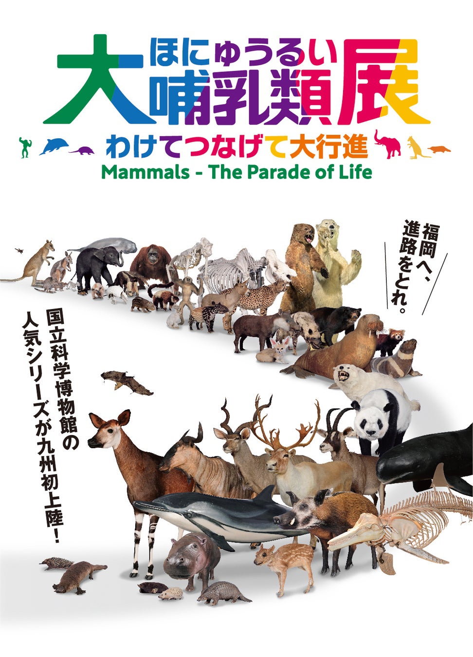 国立科学博物館で2010年から続く人気シリーズが九州初上陸！「大哺乳類展」を福岡市博物館で7月より開催！