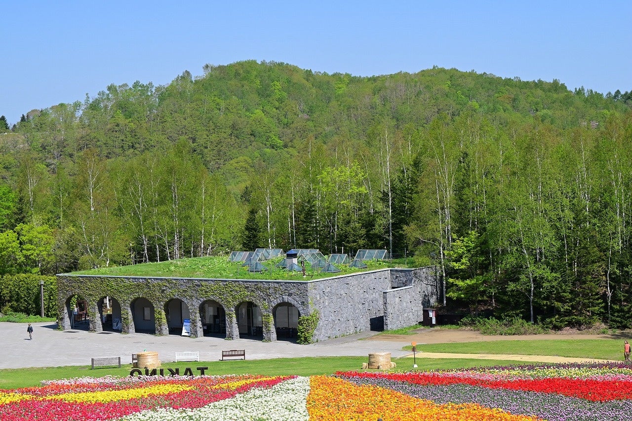 札幌近郊最大！25万本のチューリップ満開！（国営滝野すずらん丘陵公園）