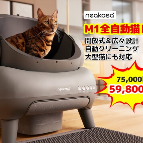猫トイレの革命！Neakasa M1 全自動猫トイレが絶賛発売中！59,800円だけ！！