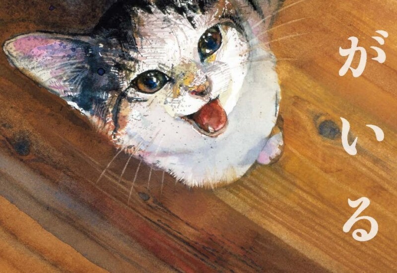 猫を愛するすべての人へ。保護猫との暮らしを描いた絵本『きみがいるから』が、大好評につき即重版決定！