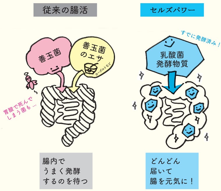 着目したのは「細胞」！メンズ向けエイジングケアサプリ、「セルズパワー」2024 年 5 月 15 日（水）発売