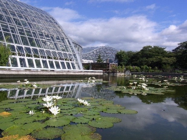 【京都府】府立植物園、開園100周年を記念！特別企画展示やイベントでワクワクする体験が盛りだくさん