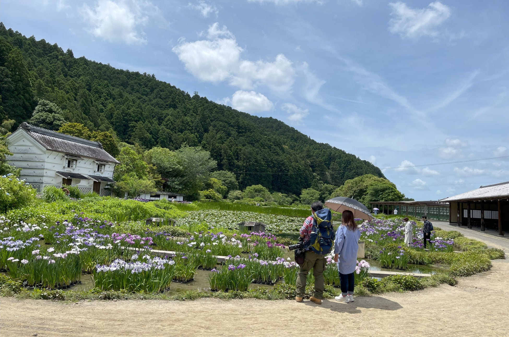 5月19日日曜日は【アナホリフクロウ「セサミ」腕乗せ体験& 抹茶かき氷専門店「忍者茶房 茶助」】のとってもお...