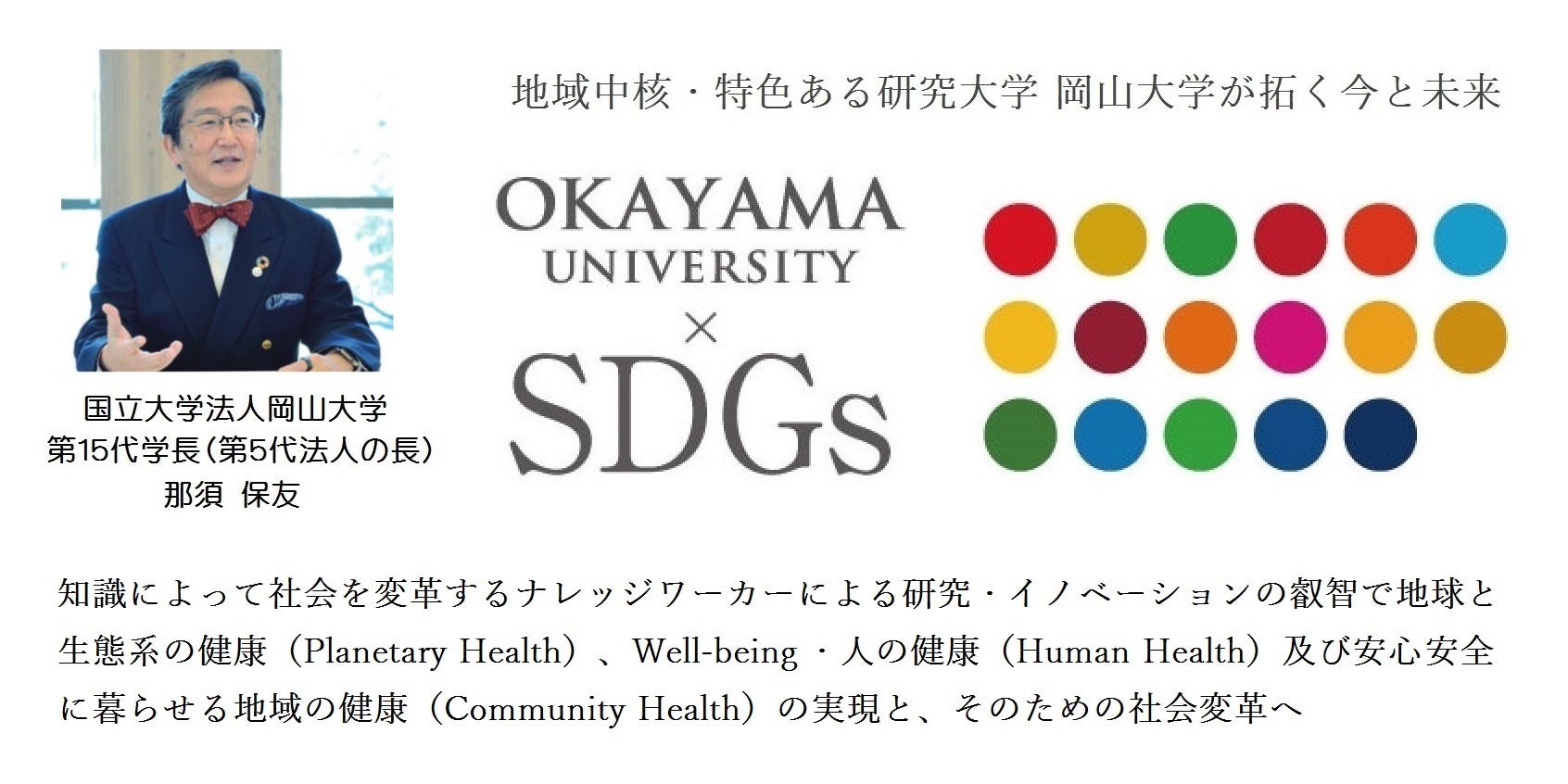 【岡山大学】岡山県内の感染状況・医療提供体制の分析について（2024年5月17日現在）