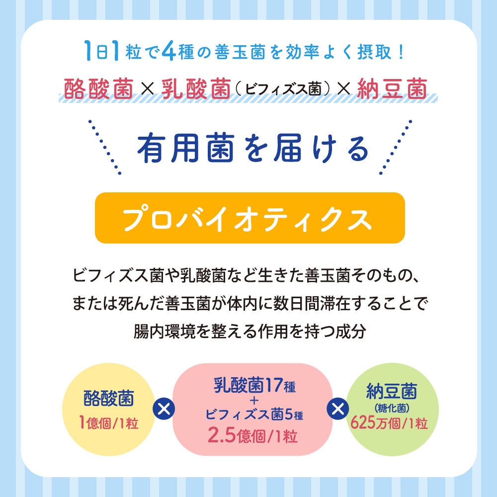 幸せホルモンの９割は腸で作られている！？酪酸菌1億個が生きたまま届く「THE酪酸菌」で腸活して、憂鬱な梅雨...