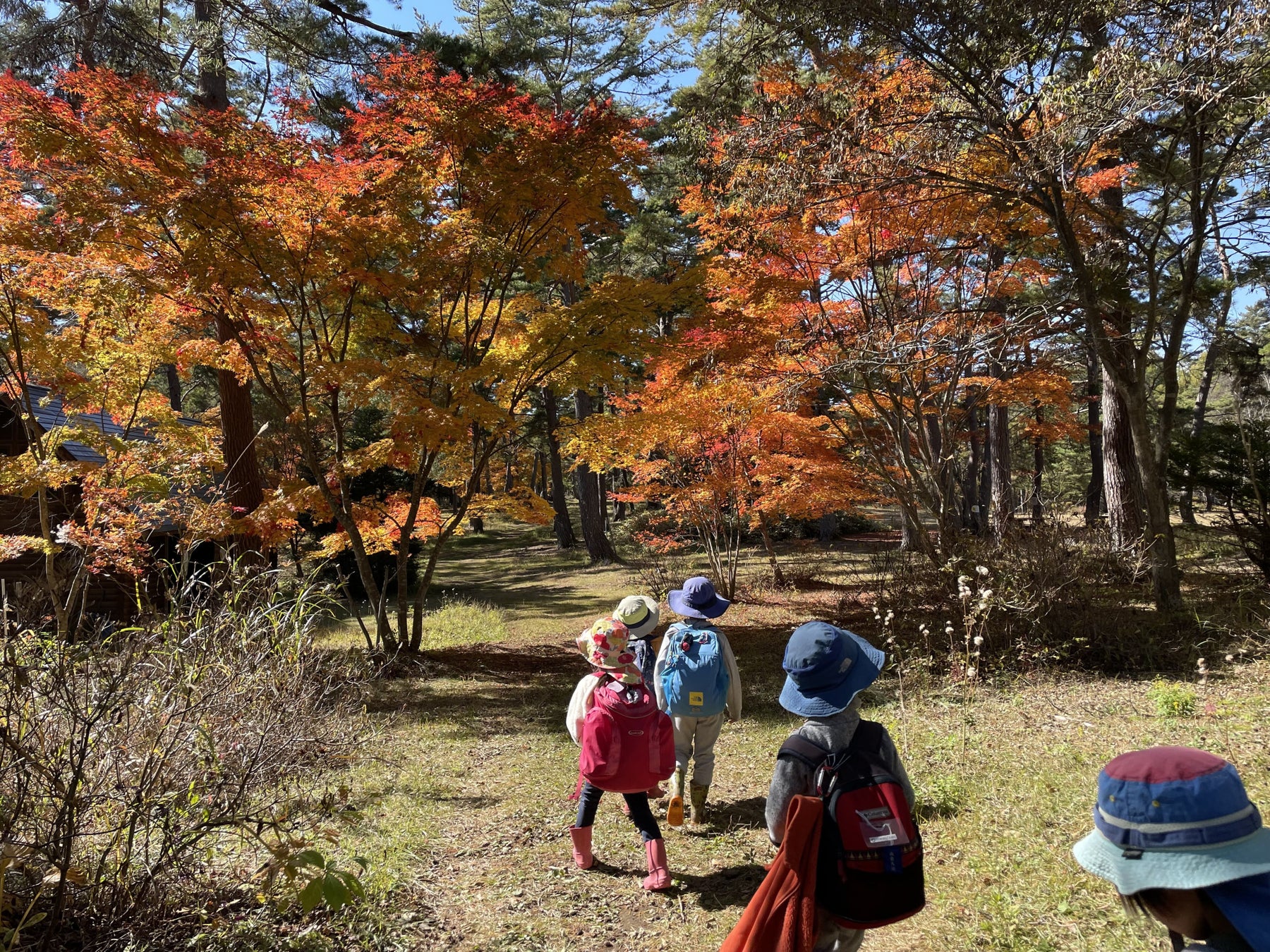 長野県 飯綱町 × 学校法人いいづな学園 共同企画　銀座ＮＡＧＡＮＯ 移住 ・ 就学相談会を開催