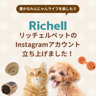 リッチェルペット公式Instagramアカウント開設︕