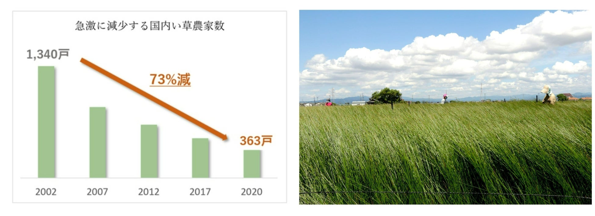 クールな「カラー畳」と共に過ごす高温多湿な日本の夏　一度履いたら忘れられない、”粋”を感じる「畳ローファ...