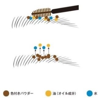 MANARA:【数量限定】若見え・老け見えは眉で決まる！ふんわりパウダー仕上がりの眉マスカラ