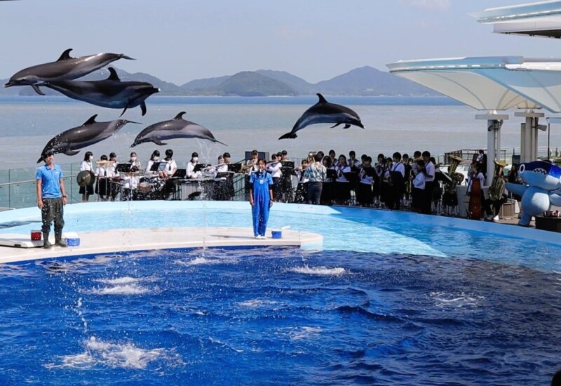 6月1日は四国水族館の開業記念日　地元中学生による記念演奏会を開催