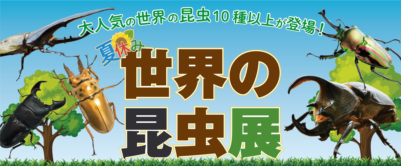 【ネスタリゾート神戸】夏のイベント2024年7月28日～ 8月25日開催「NESTA SUPER SUMMER FES 2024 ! !」