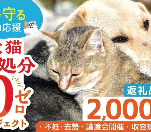 「犬猫殺処分ゼロプロジェクト」の寄附受付を長崎県ふるさと納税で開始しました。